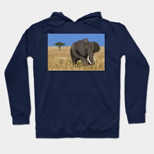 Elephant Digital Painting Hoodie